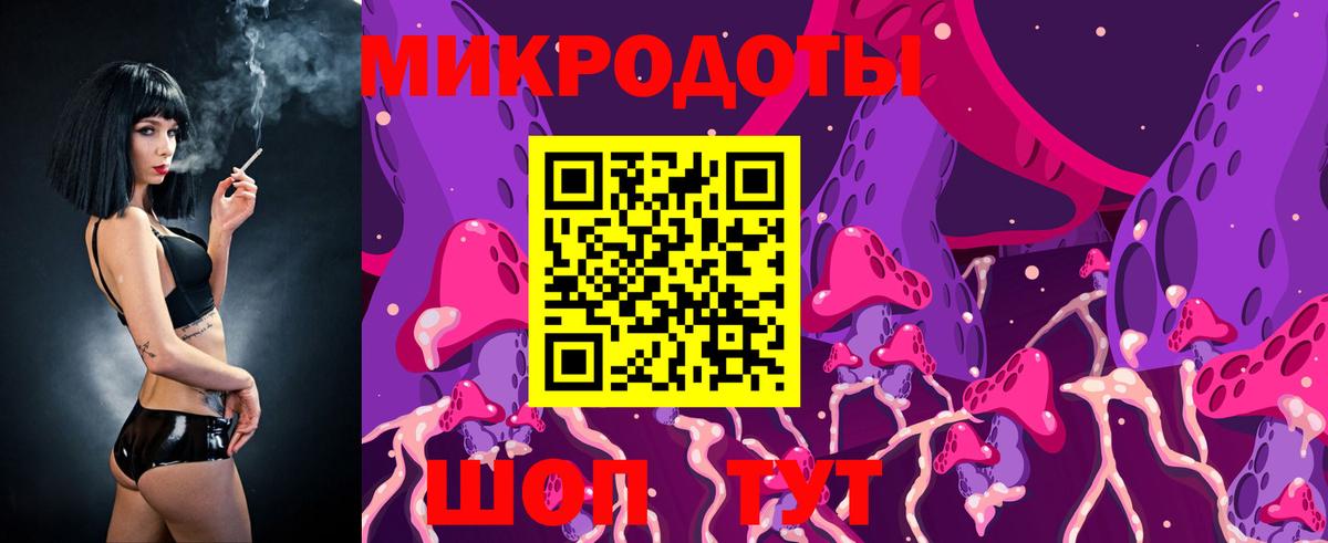 Обь  Псилоцибиновые грибы Cubensis  Вход с VPN 
